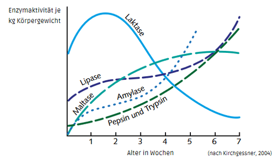 Die Abbildung zeigt die Veränderung der Enzymaktivität im Verdauungstrakt wachsender Ferkel